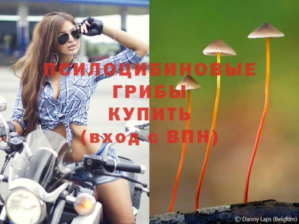 бутират Арсеньев