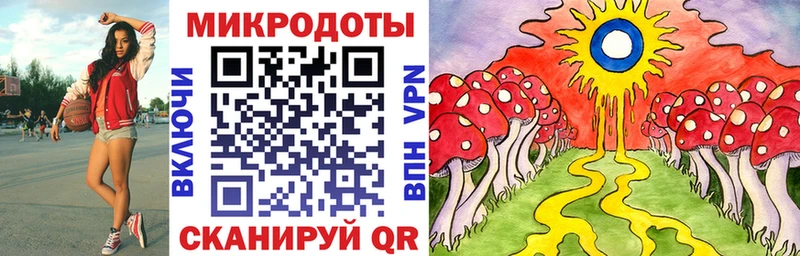 Галлюциногенные грибы Cubensis  наркотики  Николаевск 