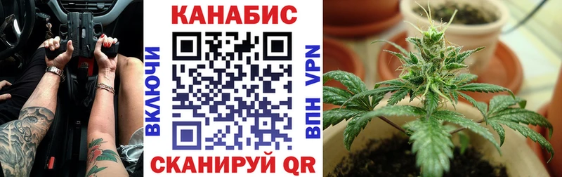 Канабис гибрид  Николаевск 